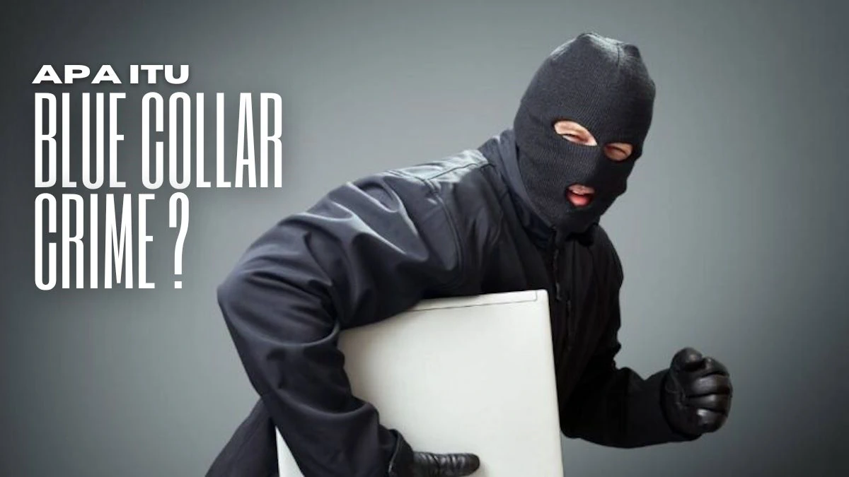 blue collar crime