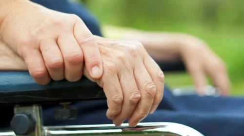 caregiver adalah