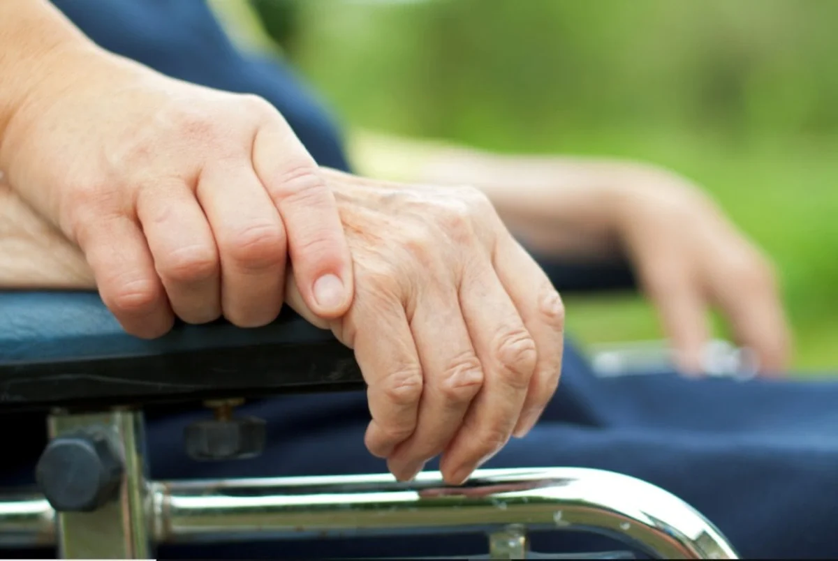 caregiver adalah