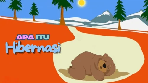 hibernasi adalah