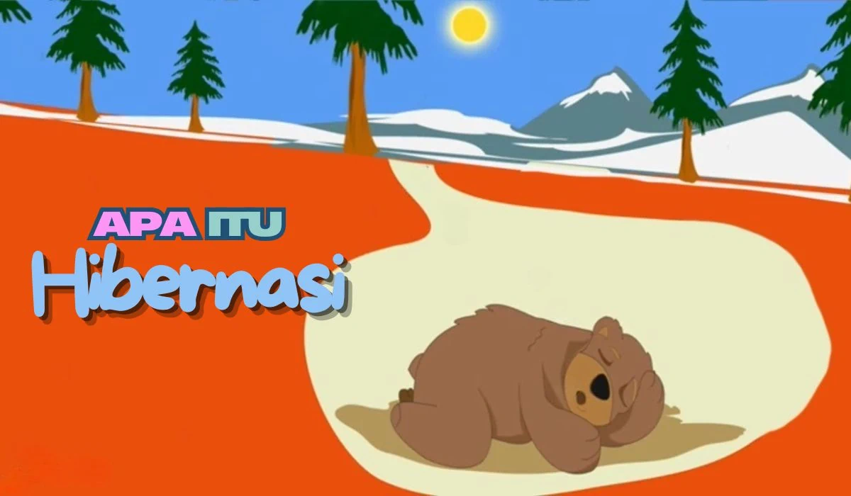 hibernasi adalah