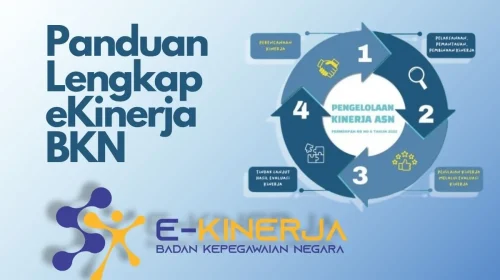 ekinerja bkn