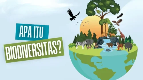 biodiversitas adalah