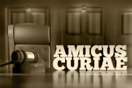 amicus curiae