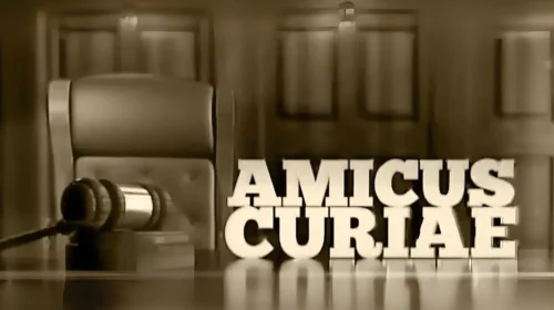 amicus curiae