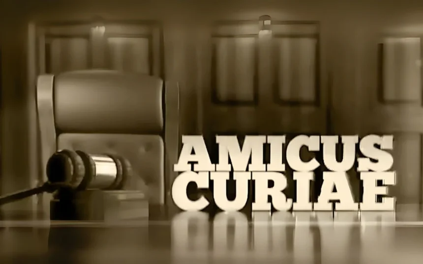 amicus curiae