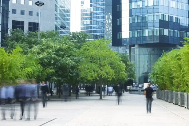 sustainability adalah