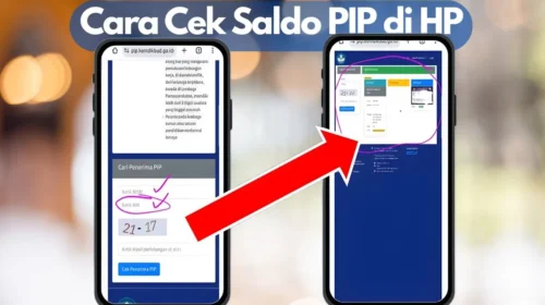 cara cek saldo pip di hp