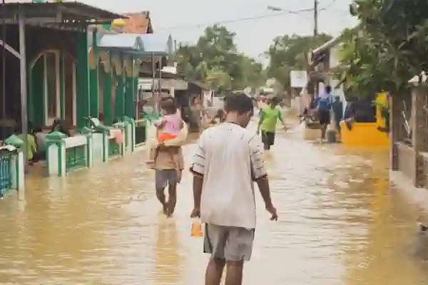 contoh teks eksplanasi