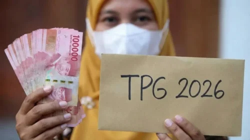 tpg guru 2026
