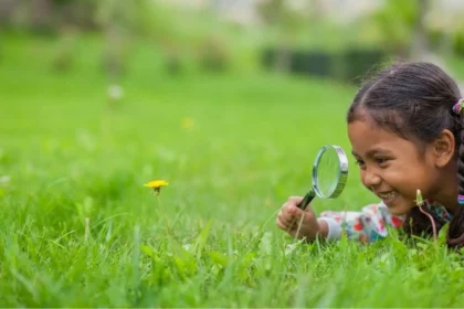curiosity artinya