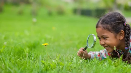 curiosity artinya