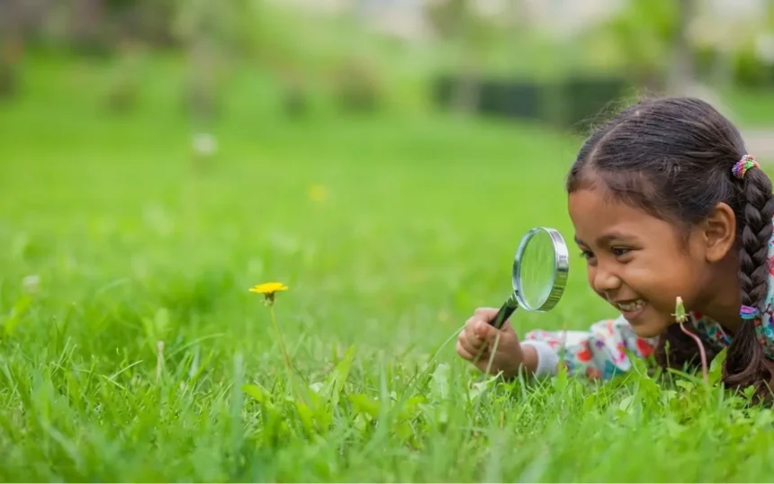 curiosity artinya