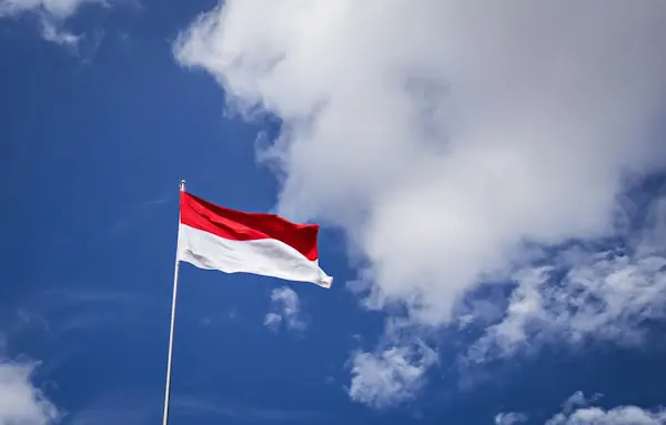nasionalisme dan patriotisme