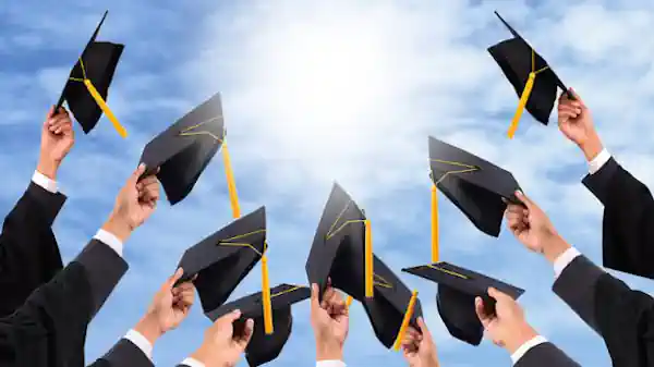 fresh graduate