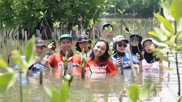 apa itu kolektif