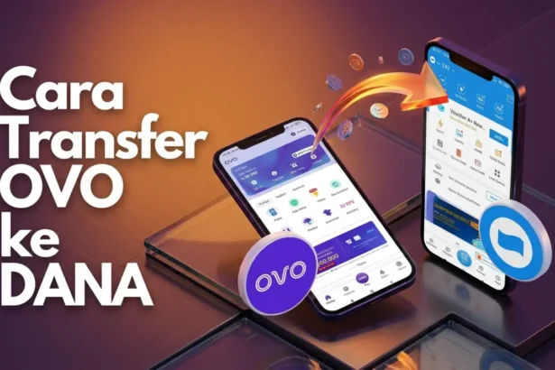 transfer ovo ke dana