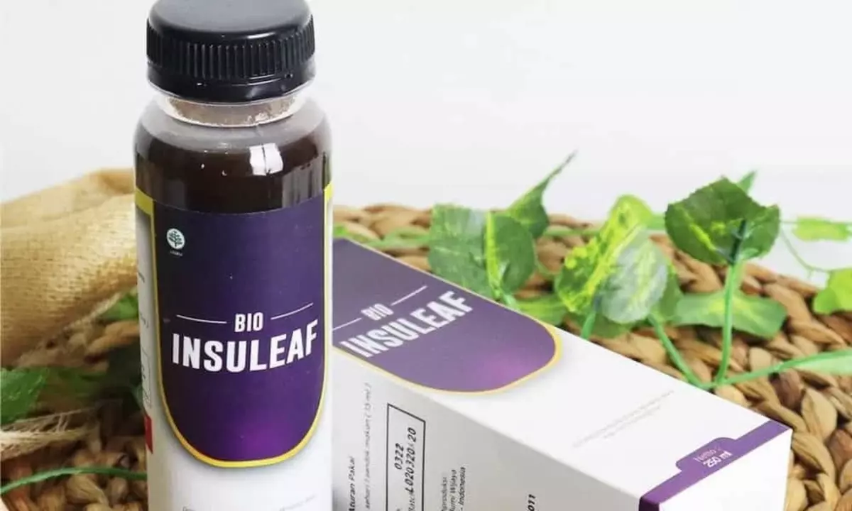 review bio insuleaf