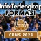 formasi cpns 2023