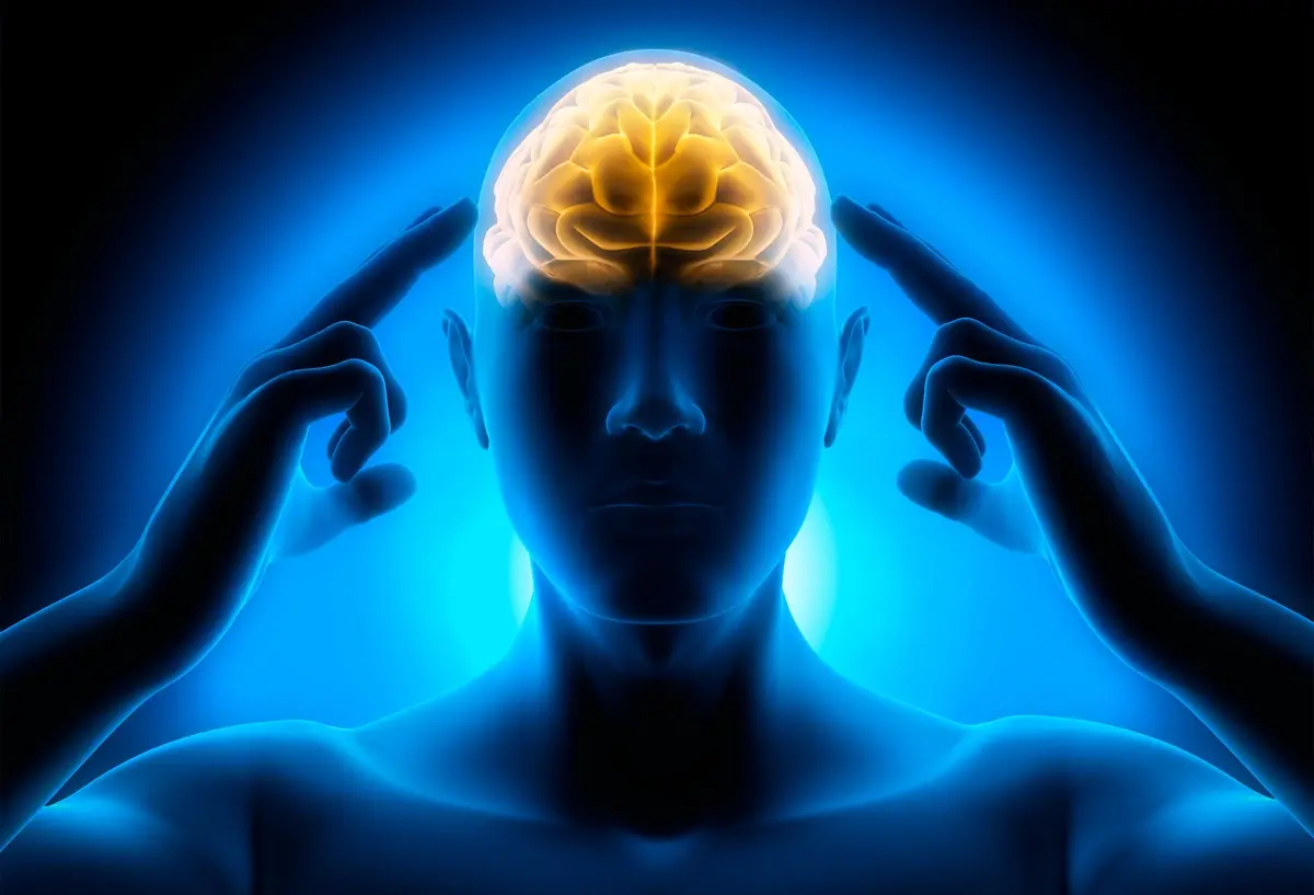 imagery adalah