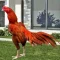 ayam bangkok super