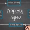 property right adalah