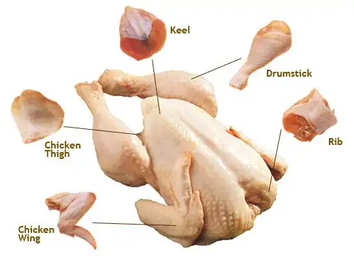 rib ayam
