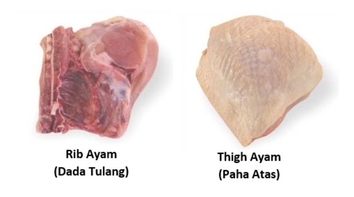 rib ayam