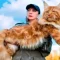 kucing maine coon