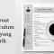curriculum vitae