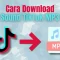 download sound tiktok mp3
