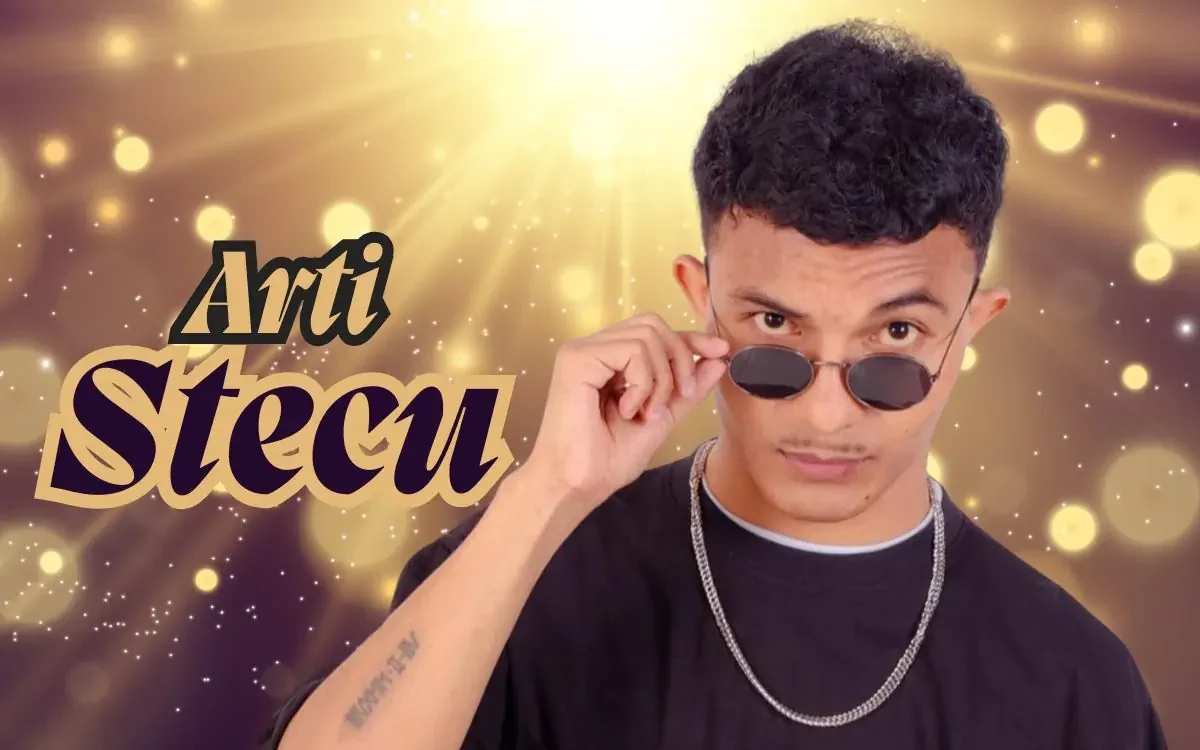 arti stecu