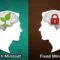 mindset adalah