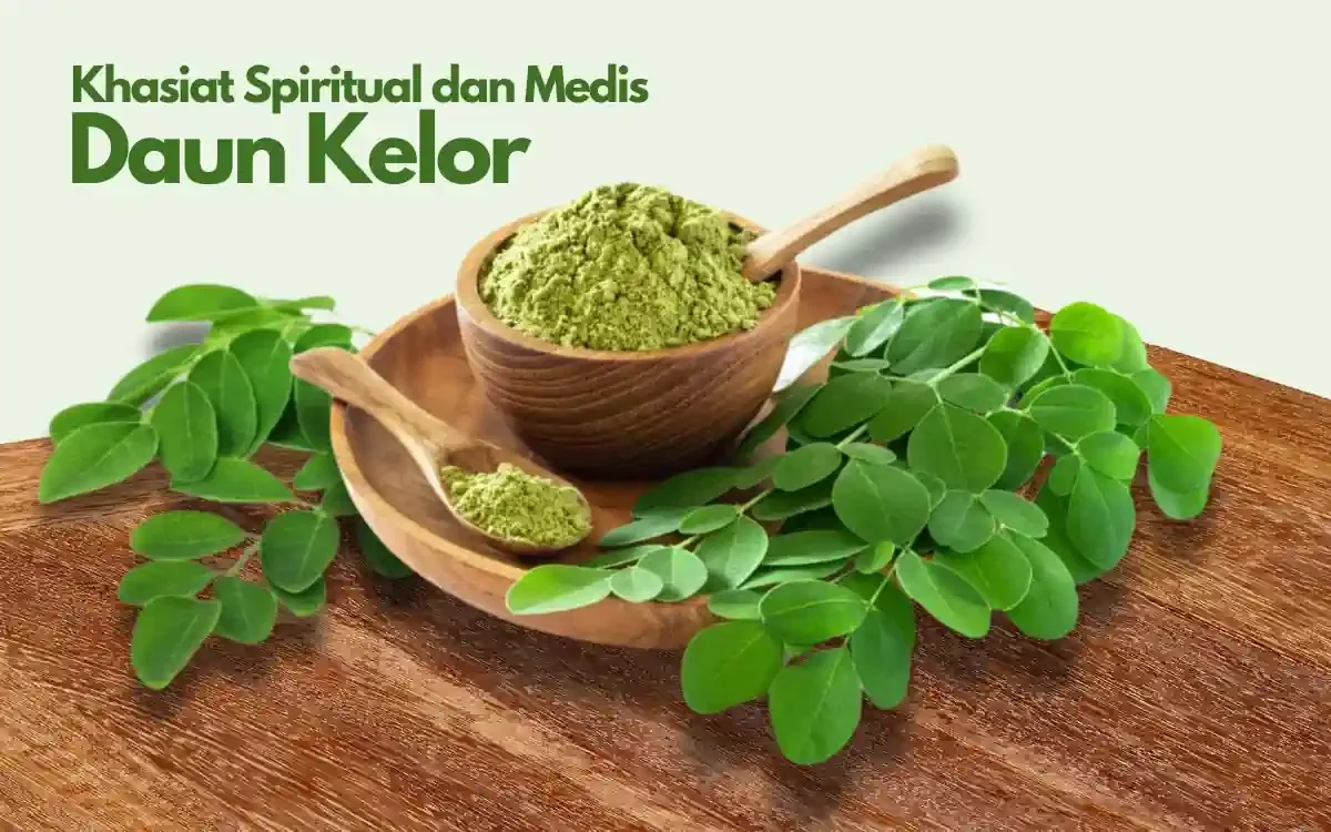 manfaat daun kelor