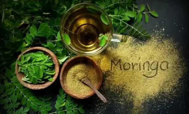 manfaat daun kelor dalam al qur'an