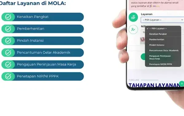 mola