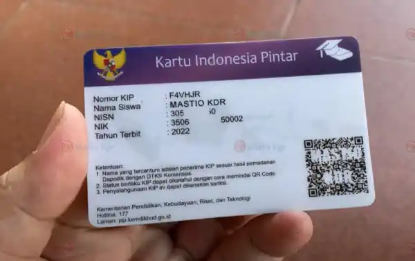 cek pip kemdikbud go -id