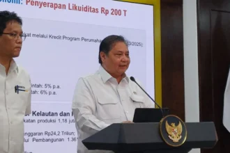 magang untuk fresh graduate