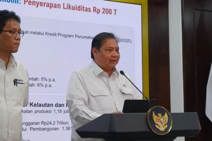 magang untuk fresh graduate
