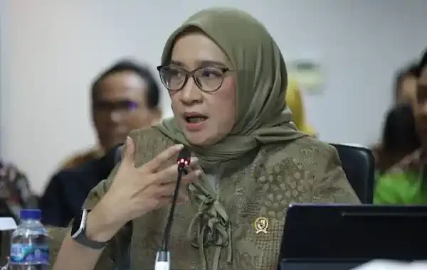 cpns 2026 kapan dibuka