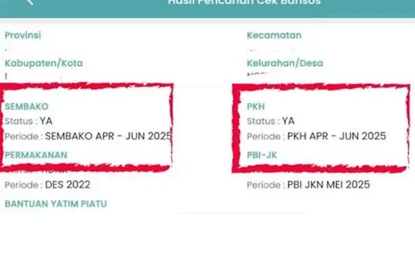 cek bansos pkh bpnt