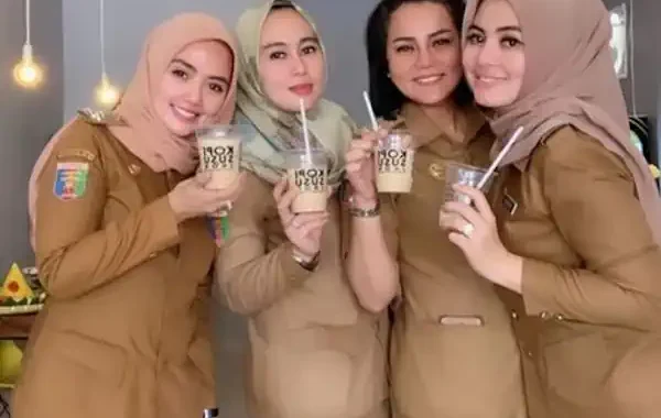 cara cek pengusulan pppk paruh waktu