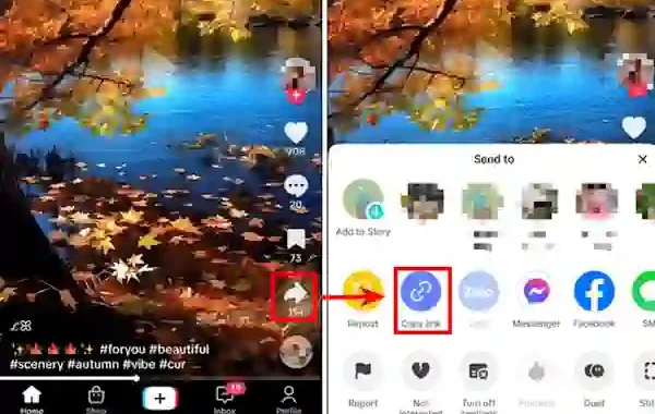 snaptik tiktok tanpa watermark