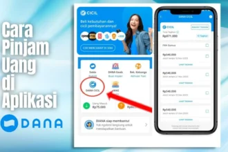 cara pinjam uang di aplikasi dana