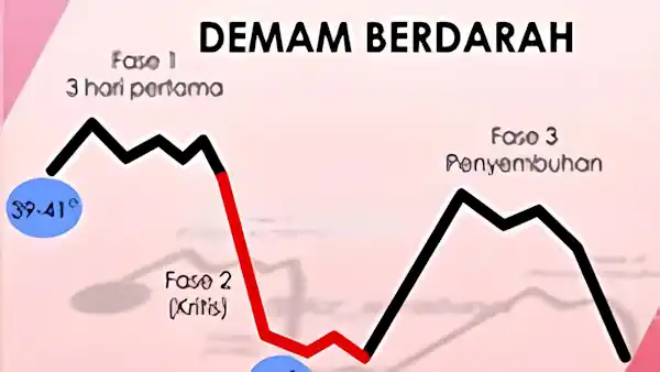ciri ciri demam berdarah