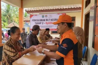 blt kesra tahap 2