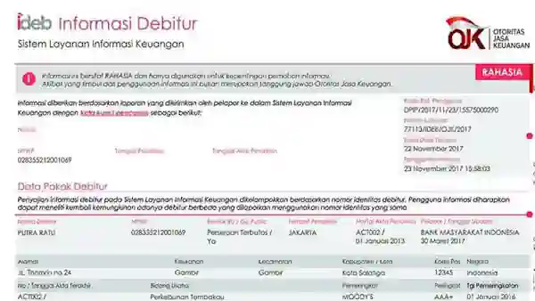 idebku.ojk.go.id bi checking online