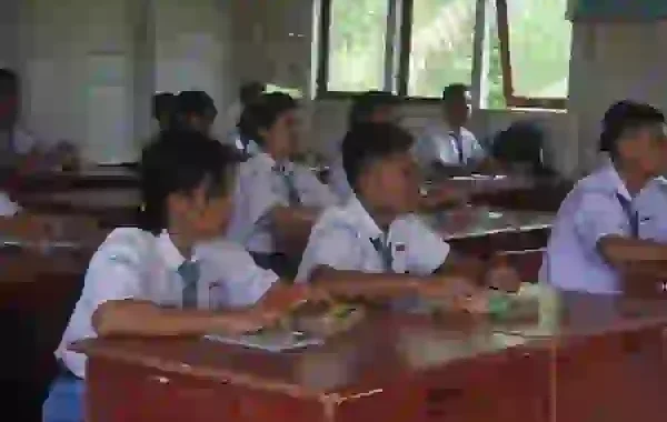 kenapa pip tidak cair padahal sudah terdaftar