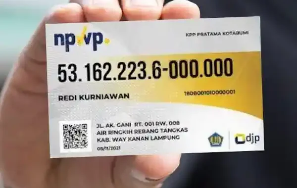 buat npwp online