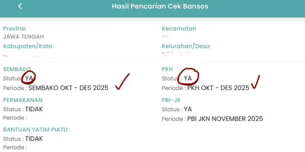 penyebab bansos tidak cair